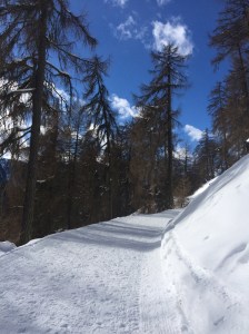 Winterlicher Weg auf den Watles, unterer Teil, Vinschgau, Südtirol
