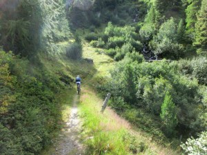 Schöne Trails zwischen St. Moritz und Maloja, Schweiz, Alpine Bike Tour