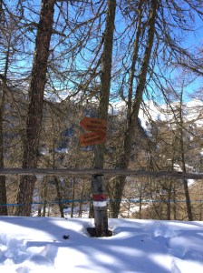 Wegweiser Wanderweg Höferalm Bergstation, Vinschgau, Südtirol