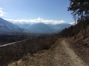 Forstweg zwischen Laas und Eyrs, Südtirol