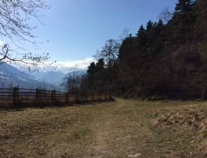 Forstweg zwischen Laas und Eyrs, Südtirol
