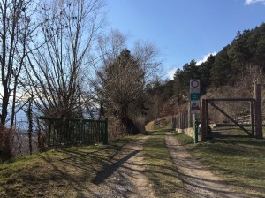 Forstweg zwischen Laas und Eyrs, Schranke Laaser Leiten, Südtirol
