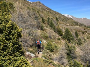 Abstieg zur Bergeralp, Vinschgau, Südtirol