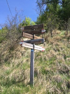 Wegweiser bei Tanas, Paflur, Südtirol