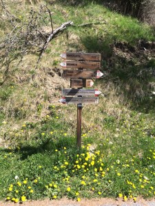 Wegweiser beim Oberfrini-Hof, Tanas, Vinschgau, Südtirol