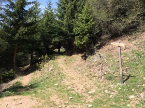 Wegweiser Köpflplatte, Vinschgau, Südtirol