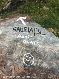 Eine Markierung, die motiviert :), Saurüssel, Vinschgau, Südtirol