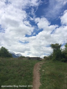 Auf dem Weg nach St. Martin überquert man die Annenberger Böden, Vinschgau, Südtirol