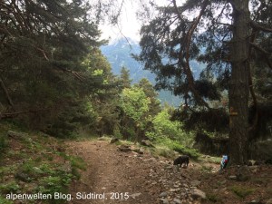 Beim Abstieg Richtung Tiss muss man sich hier rechts halten