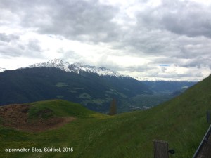 Wiesenweg kurz vor St. Martin , Vinschgau, Südtirol