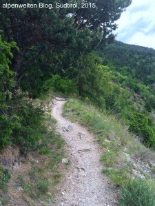 Weg am Latscher Sonnenberg, Vinschgau, Südtirol