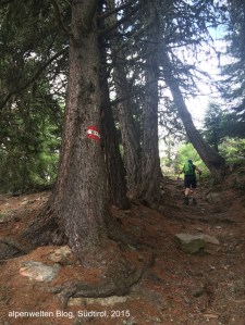 Markierung, Wanderweg Nr. 6, Vinschgau, Südtirol