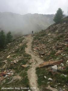 Pfad an der Baumgrenze, oberhalb von St. Martin im Kofel, Vinschgau, Südtirol