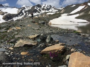 Natürliches Farbenspiel im hinteren Martelltal, Südtirol