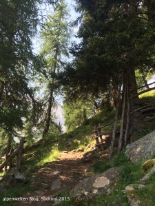 Am Weidezaun kurz nach der Oberen Laaser Alm, Vinschgau, Südtirol