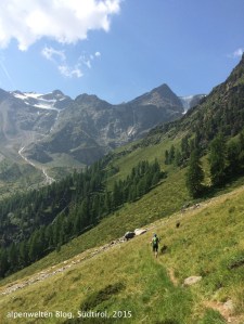 Weg entlang der Almen ins hintere Laaser Tal, Vinschgau, Südtirol