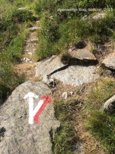 Rechts halten zur Schäferhütte, Laaser Tal, Vinschgau, Südtirol