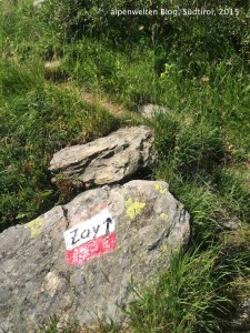 Weg Nr. 5 führt auch zum Zayjoch, Vinschgau, Südtirol
