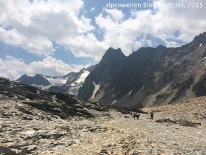 Abstieg von der Taitschroi ins Laaser Tal, Vinschgau, Südtirol