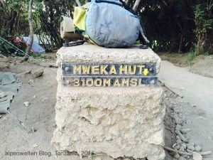 Ankunft im Mweka Hut (Camp), 3.100 m, Kilimanjaro, Tanzania