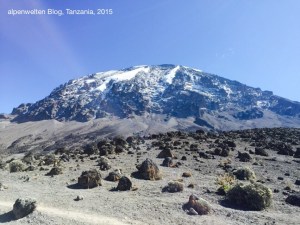 Blick auf den Kibo, Kilimanjaro, Tanzania