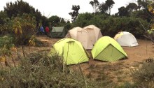 Die Zelte unserer Gruppe im Machame Camp (3.010 m), Kilimanjaro, Tanzania