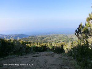 Blick über das Machame Camp (3.010 m), Kilimanjaro, Tanzania