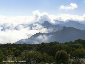 Blick über die westlichen Erhebungen des Kilimanjaro, den Shira Ridge, Tanzania