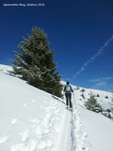 Bei blauem Himmel und etwas Neuschnee geht es auf den Inneren Lockenkopf (2768 m) im Rojental, Vinschgau, Südtirol.