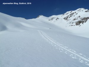 Die vor uns liegende Aufstiegsspur zum Grionkopf, Vinschgau, Südtirol