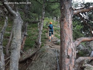 Ausstieg am Klettersteig Hoachwool, Naturns, Südtirol